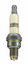 Load image into Gallery viewer, Brisk Spark Plug Premium Racing NAOR12LGS