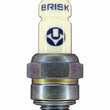 Load image into Gallery viewer, Brisk Spark Plug Silver Racing AR08S