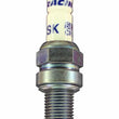 Load image into Gallery viewer, Brisk Spark Plug Silver Racing CR10YS