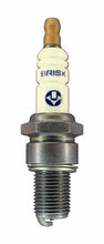 Load image into Gallery viewer, Brisk Spark Plug Silver Racing LR10SL