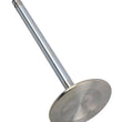 Load image into Gallery viewer, Brodix 2.180 BBC Intake Valve 11/32 Dia. 5.540 OAL BR 60518D