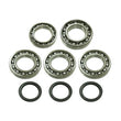Load image into Gallery viewer, Bronco BRONCO DIFFERNTIAL BEARING KIT AT-03A07