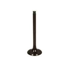 Load image into Gallery viewer, Bronco BRONCO EXHAUST VALVE AU-09028E