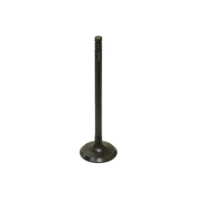 Load image into Gallery viewer, Bronco BRONCO EXHAUST VALVE, PC AU-09017E - Main Product View