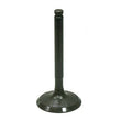 Load image into Gallery viewer, Bronco BRONCO INTAKE VALVE AU-09207I
