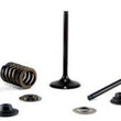 Load image into Gallery viewer, Bronco BRONCO INTAKE VALVE AU-09220I