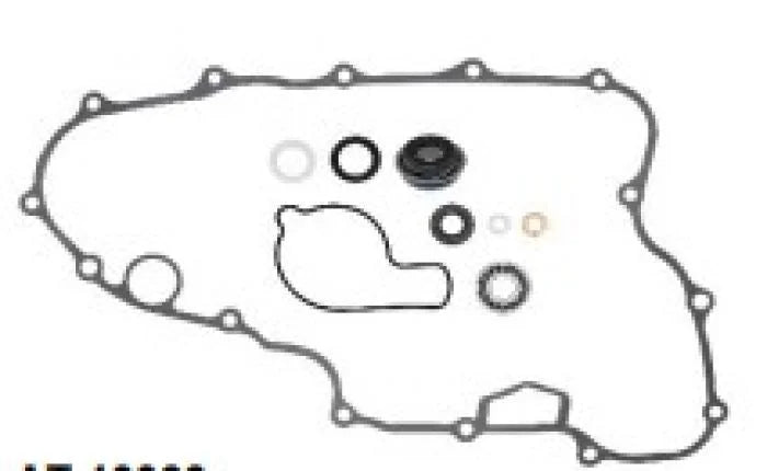Bronco BRONCO WATER PUMP REPAIR KIT AT-10066