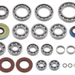 Load image into Gallery viewer, Bronco DIFFERENTIAL BEARING KIT, REAR AT-03D20