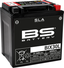 Load image into Gallery viewer, BsBattery Battery - BIX30L (YIX) 300631 - Main Product View