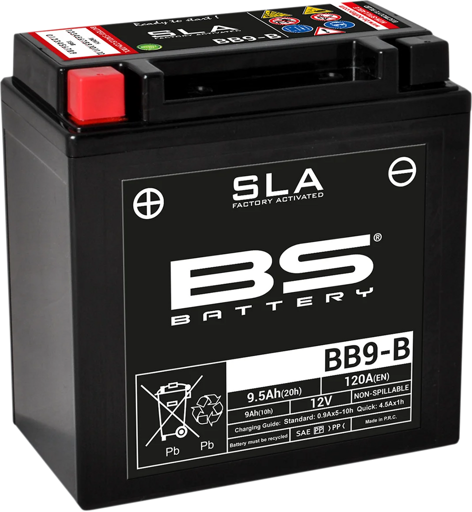 BsBattery Battery - BT14B-4 (YT) 300644 - Side View