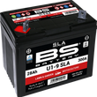 Load image into Gallery viewer, BsBattery Battery - U1-9 300901 - Main Product View