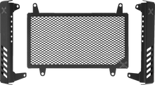 Load image into Gallery viewer, Burly Brand Radiator Guard - Slash Cut - Honda B10-3009B - Main Product View