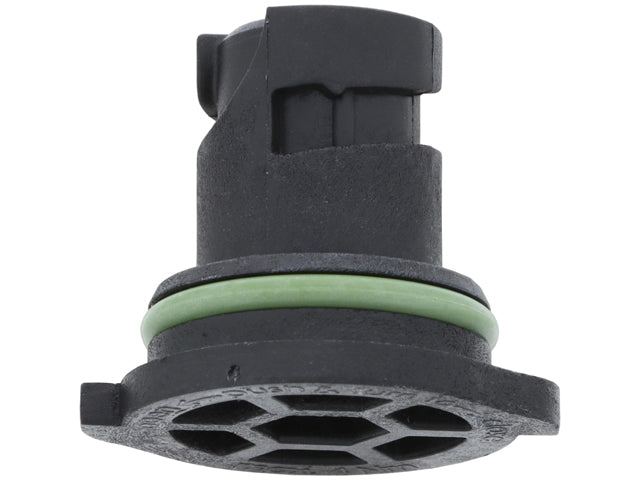 Engine Oil Drain Plug