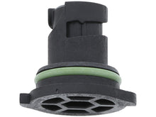 Load image into Gallery viewer, Engine Oil Drain Plug