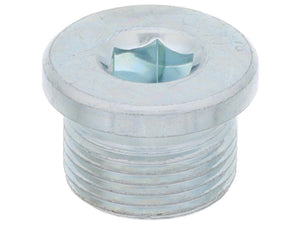 Transmission Drain Plug