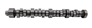 CAL270-009.jpg