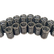 Load image into Gallery viewer, COMP Cams 1.250in Valve Springs 983-16