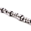 Load image into Gallery viewer, COMP Cams 4-Ptrn Hyd Roller Cam 293QIO10 11-616-44 fits BBC