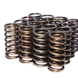 Load image into Gallery viewer, COMP Cams .937 Dia. Inner Valve Springs- .697 ID. 974-16