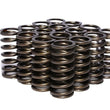 Load image into Gallery viewer, COMP Cams .953 Dia. Inner Valve Springs - .697 ID. 975-16