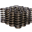 Load image into Gallery viewer, COMP Cams .970 Dia. Inner Valve Springs- .700 ID. 973-16