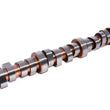 Load image into Gallery viewer, COMP Cams BBF D/R Solid Roller Cam 304BR-8 34-715-9