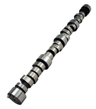 Load image into Gallery viewer, COMP Cams Cam 280Ar (Solid Roller) 12-702-8 fits SBC