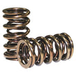 Load image into Gallery viewer, COMP Cams Engine Valve Spring Kit 981-16 - Side View