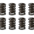 Load image into Gallery viewer, COMP Cams Valve Spring Set 26911-12