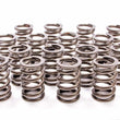 Load image into Gallery viewer, COMP Cams Valve Springs - Single 1.320 26975-16