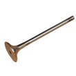 Load image into Gallery viewer, CRP INDUSTRIES Exhaust Valve 058109611E99-EC