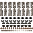 Load image into Gallery viewer, Cam Motion LS Dual Valve Spring Kit Up to .660in Lift VSK142803