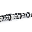 Load image into Gallery viewer, Cam Motion LS Hyd Roller Cam 3-Bolt .595 /.586 112 Degrees 03-01-0011