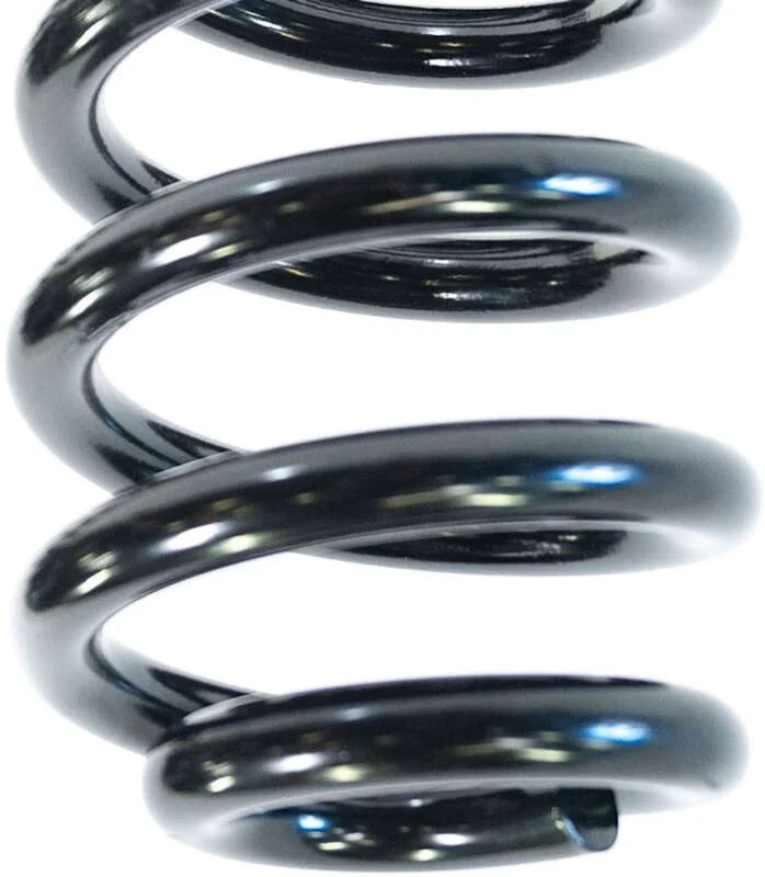 Camburg 05-24 Ford F-250/350 4WD 2.5in. Performance Coil Springs (pair) (gas) - Back View