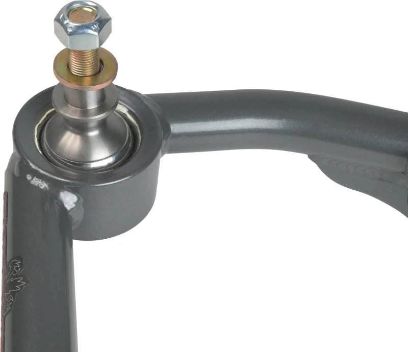 Camburg Ford F-150 2WD/4WD 09-20 1.25in Performance Uniball Upper Arms (w/ covers) - Back View