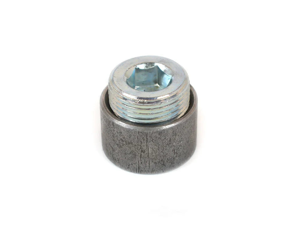 Canton Canton 20-888 Steel Fitting 1 Inch NPT Bung With Plug Welding Required 20-888 - Main Product View