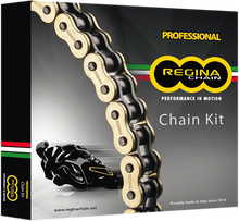 Load image into Gallery viewer, Chain and Sprocket Kit - Ducati - 1200 Multistrada - '10-'17 - Main Product View