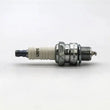 Load image into Gallery viewer, Champion Spark Plug CHAMPION SPARK PLUG 806