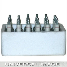 Load image into Gallery viewer, Champion Spark PlugCHAMPION SPARK PLUG (24)821S