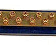 Load image into Gallery viewer, Chassis Engineering 10 Gang Buss Bar C/E1027