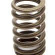 Load image into Gallery viewer, Chevrolet Performance Parts 1.250 Valve Spring - SBC for 602 Crate Engine 10212811