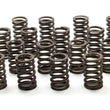 Load image into Gallery viewer, Chevrolet Performance Parts 1.250 Valve Springs - SBC for 602 Crate Engine 19154761