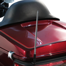 Load image into Gallery viewer, Ciro 8&quot; Antenna - Chrome 15010 - Side View