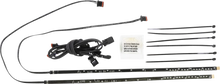 Load image into Gallery viewer, Ciro Bat Blades 45102 - Main Product View