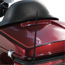 Load image into Gallery viewer, Ciro Flexible Antenna - Black 15001 - Side View