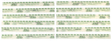 Load image into Gallery viewer, Clevite Plastigage Green Plastigage - 12 Pack - Main Product View