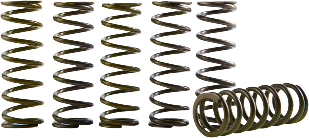 Clutch Plate and Spring Kit - CRF250R/RX Hinson Racing FSC894-9-2201 - Detail View