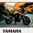 Load image into Gallery viewer, Clymer Shop Manuals CLYMER MANUAL YAMAHA FZ-1 2001-2005 CM399