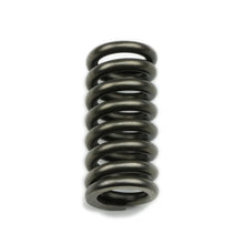 Load image into Gallery viewer, Coan Edgineering Reverse Servo Spring COA-22043