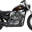 Load image into Gallery viewer, Cobra 909 Exhaust - Black - '86-'03 XL 6701B - Back View